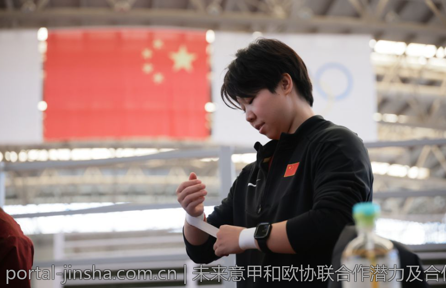 未来意甲和欧协联合作潜力及合作方向探讨